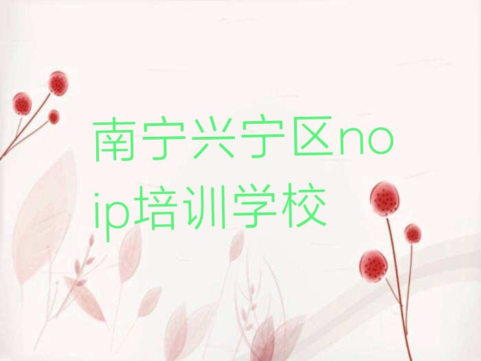 南宁兴宁区noip培训学校