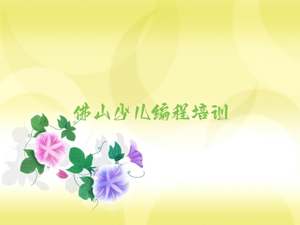 佛山少儿编程培训中心