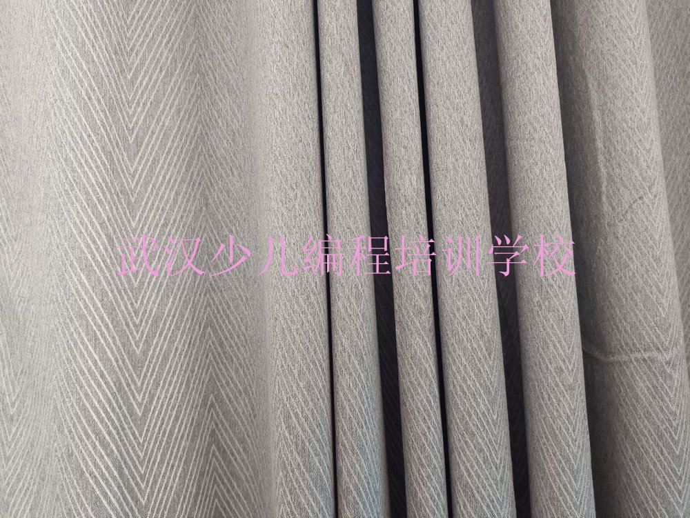 武汉少儿编程培训学校