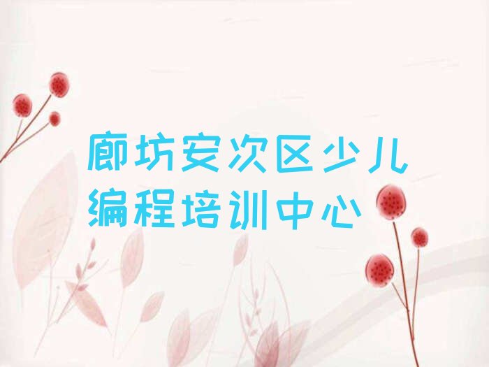 廊坊安次区少儿编程培训中心
