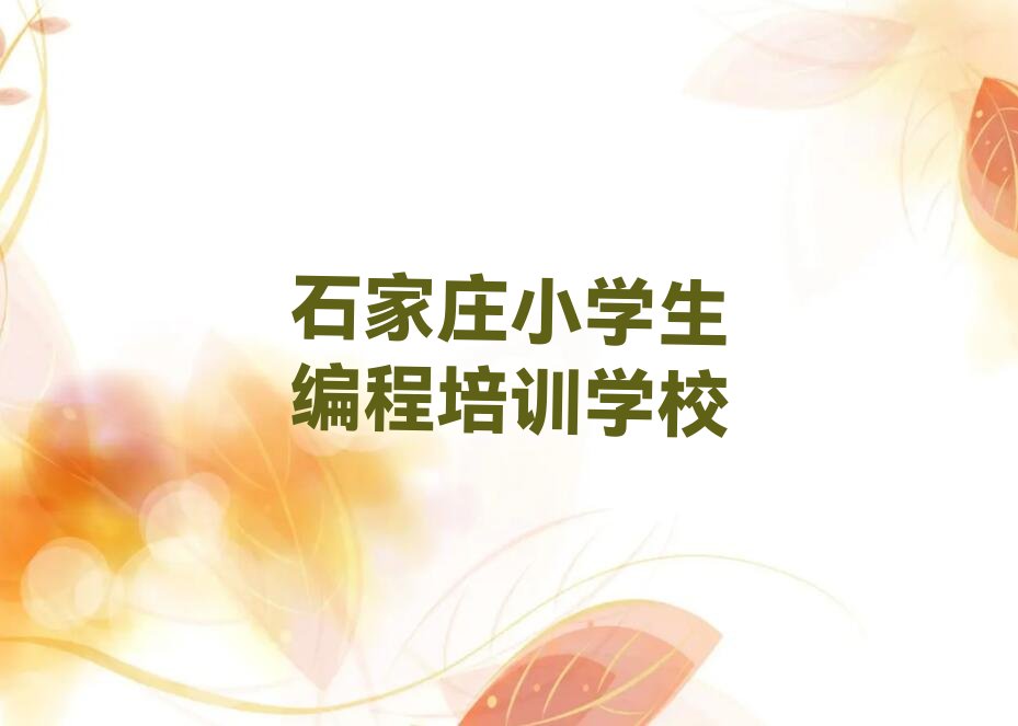 石家庄小学生编程培训学校