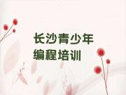 长沙望城区青少年编程培训机构性价比高一点精选名单排行榜汇总