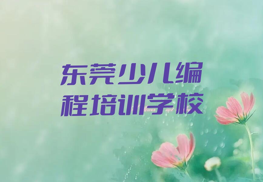 东莞少儿编程培训学校