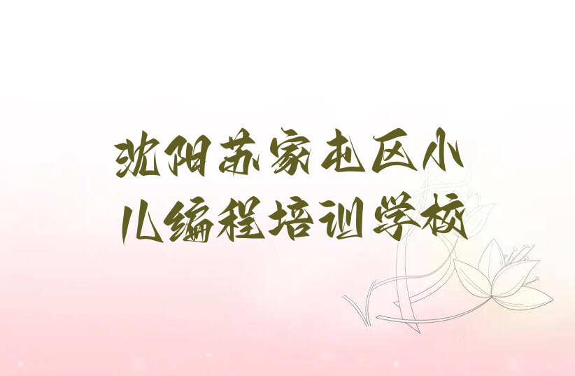 沈阳苏家屯区小儿编程培训学校