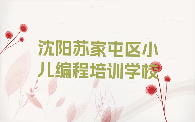 沈阳苏家屯区小儿编程培训学校
