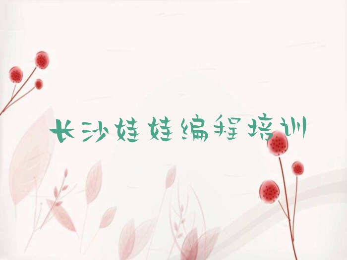 长沙芙蓉区文艺路娃娃编程培训学校