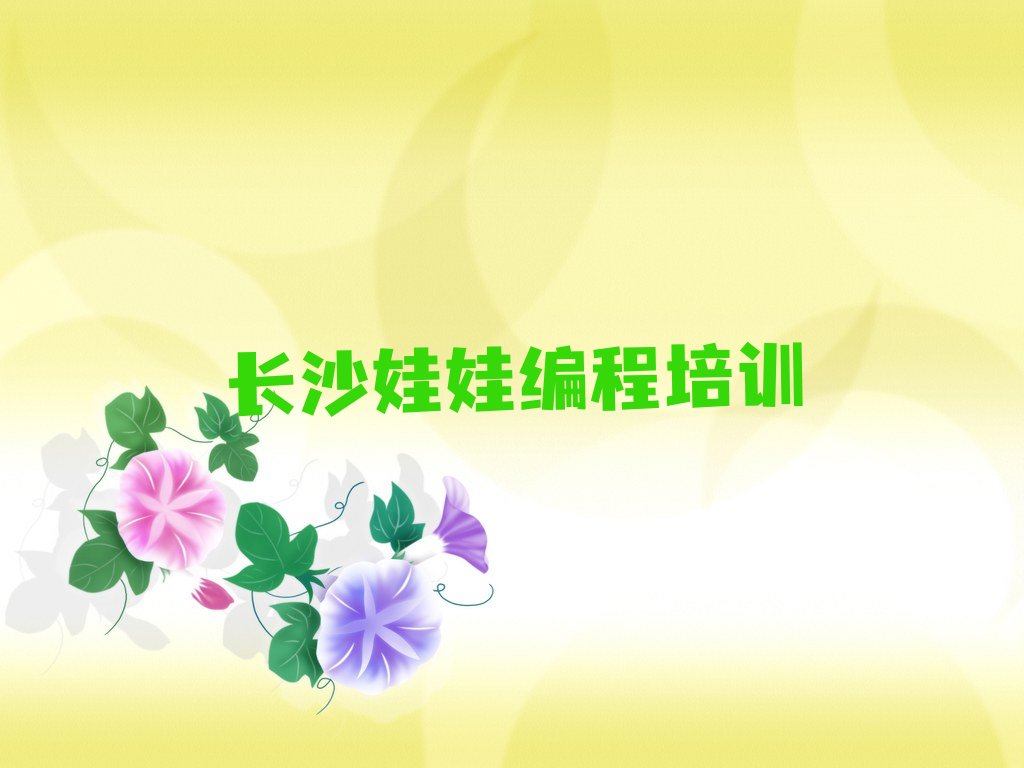 长沙芙蓉区文艺路娃娃编程培训学校
