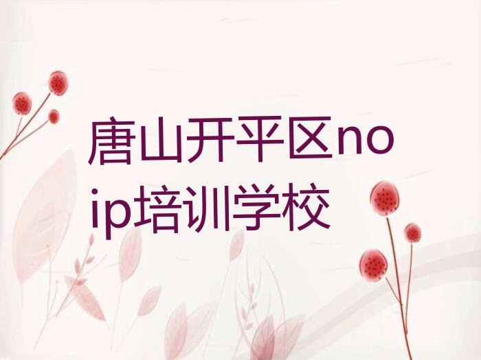 唐山开平区noip培训学校