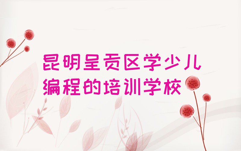 十大昆明呈贡区学少儿编程的培训学校排行榜
