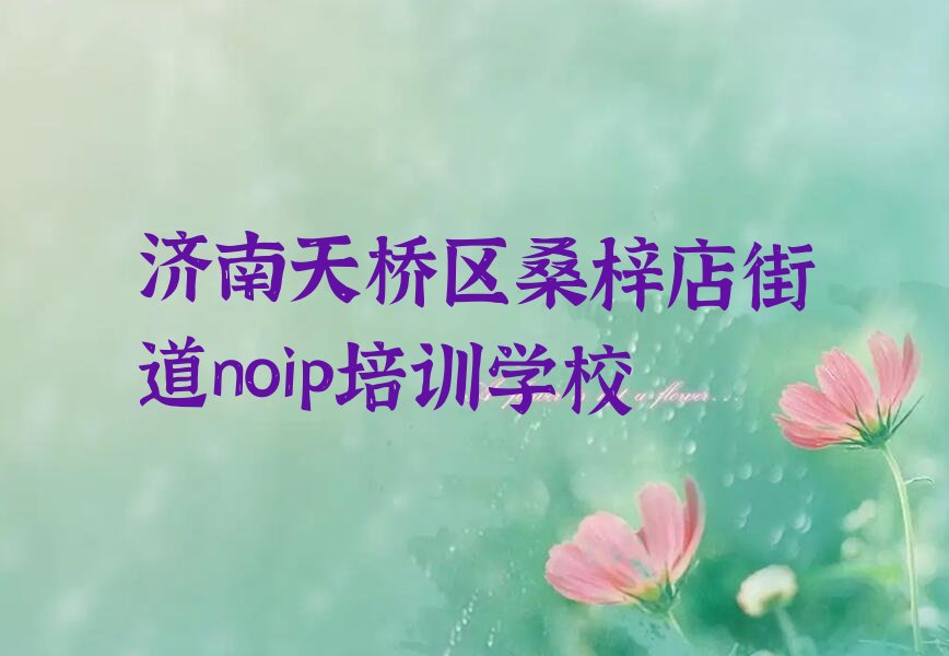 noip
