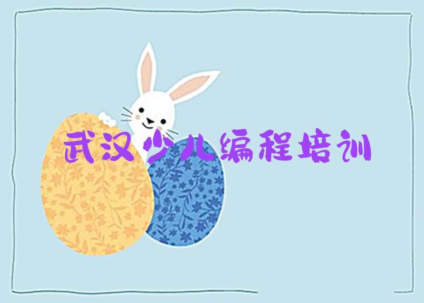武汉洪山区孩子编程培训学校