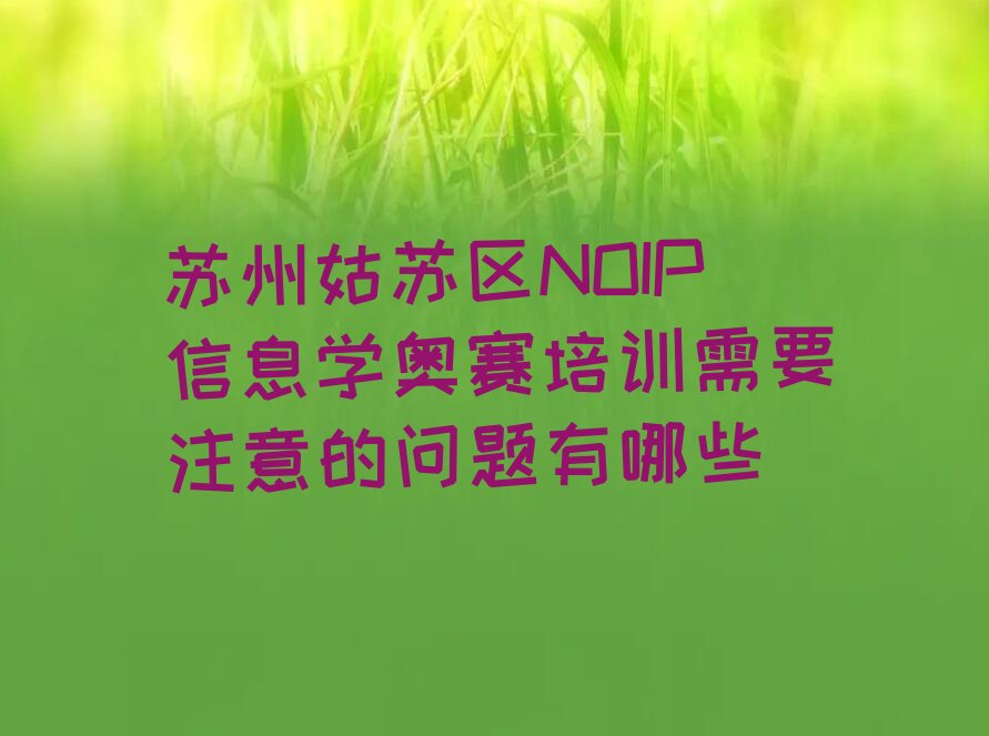 苏州姑苏区双塔街道NOIP信息学奥赛培训学校