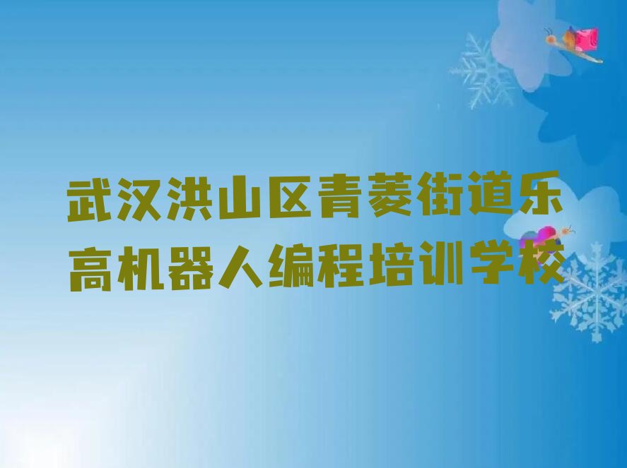 武汉洪山区青菱街道乐高机器人编程培训学校