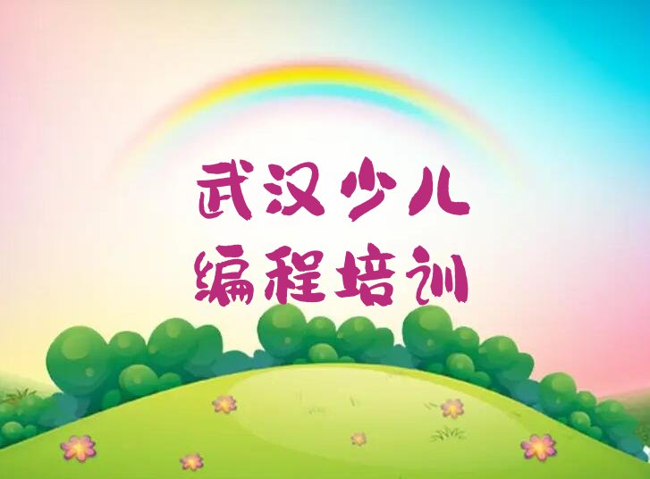 武汉少儿编程培训中心