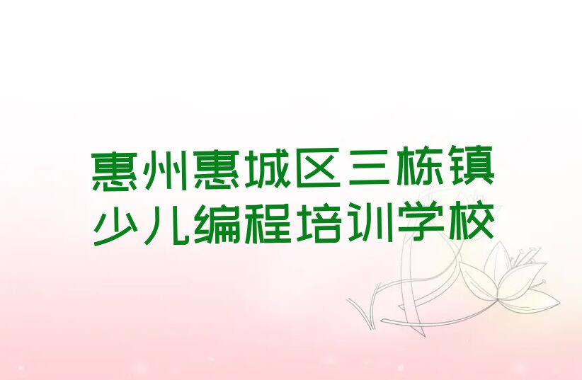 惠州惠城区三栋镇少儿编程培训学校
