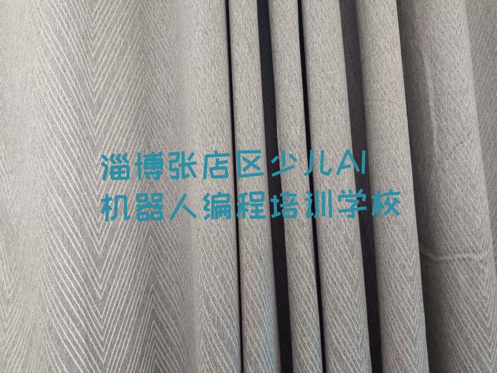 淄博张店区少儿AI机器人编程培训学校