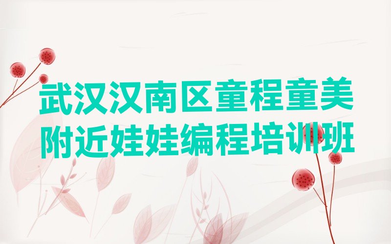 十大武汉汉南区童程童美附近娃娃编程培训班排行榜