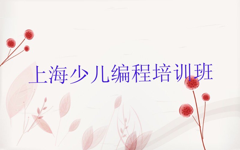 上海少儿编程培训班