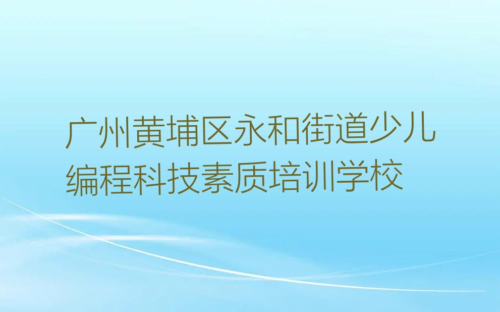 广州黄埔区永和街道少儿编程科技素质培训学校
