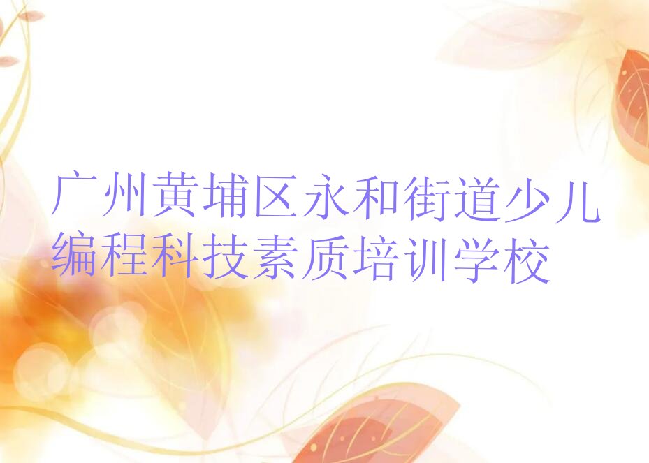 广州黄埔区永和街道少儿编程科技素质培训学校