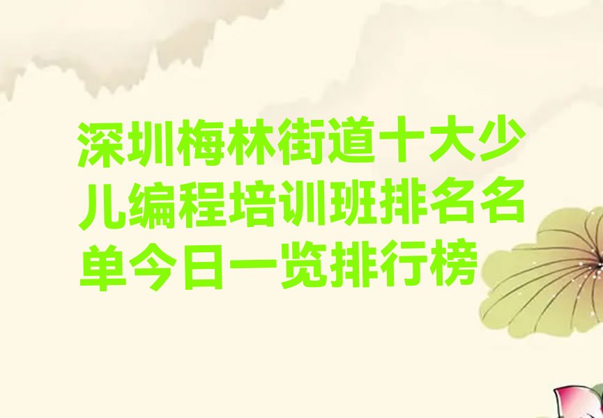 深圳福田区梅林街道少儿编程培训学校