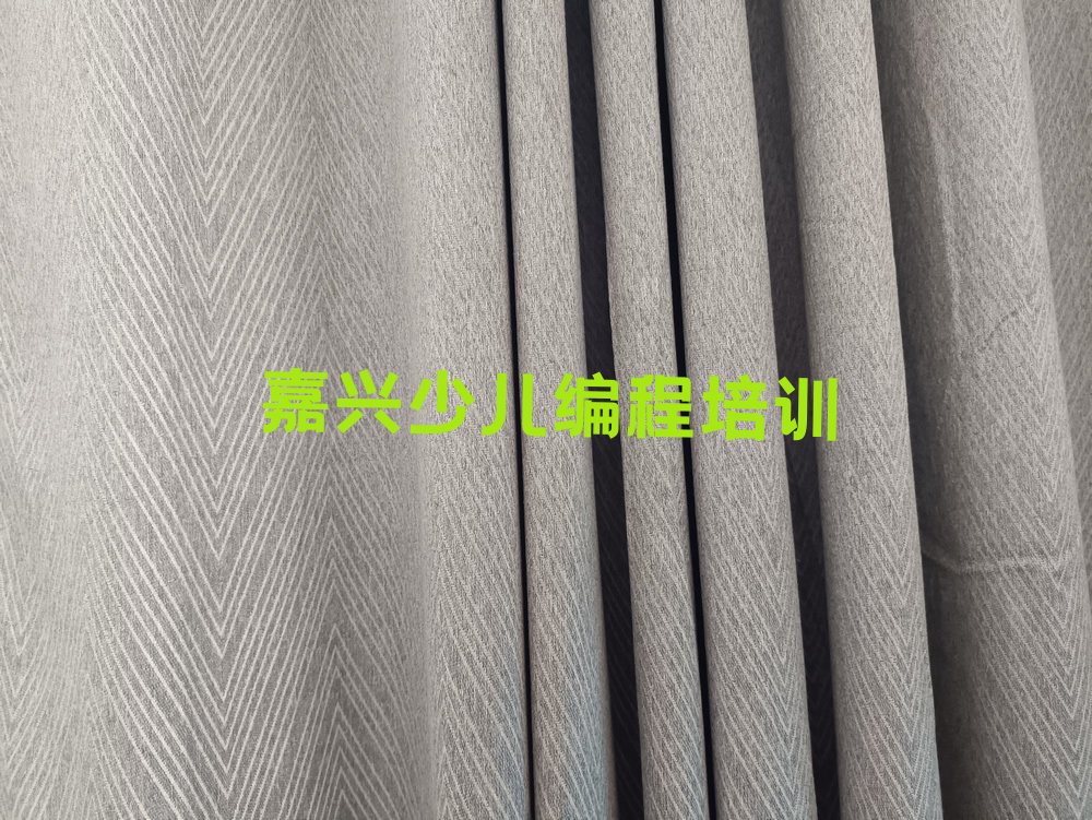 嘉兴孩子编程培训学校
