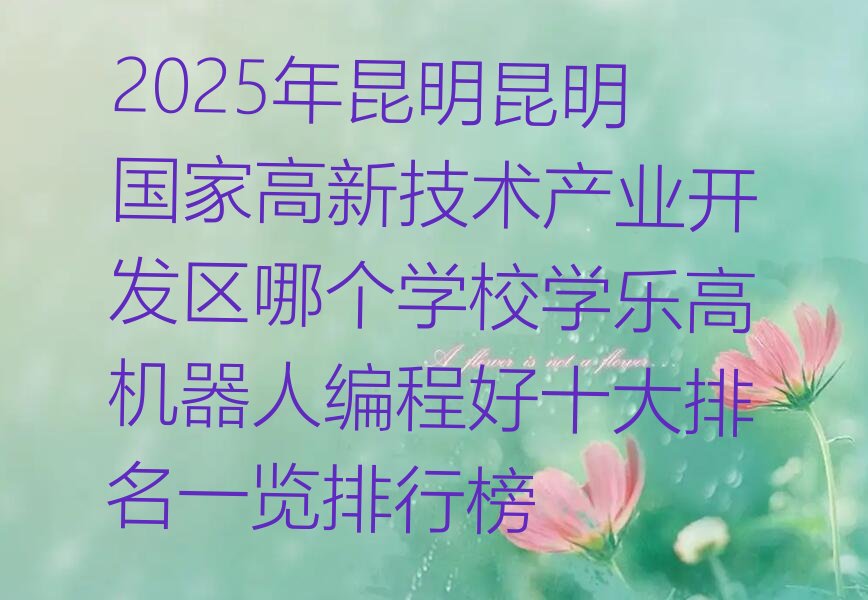 昆明乐高机器人编程培训学校