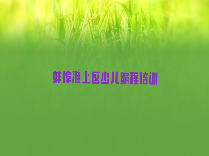 十大2025年蚌埠淮上区少儿编程c++一对一辅导名单精选一览排行榜排行榜