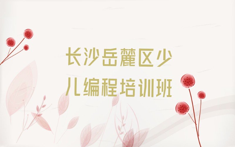 长沙岳麓区少儿编程培训班