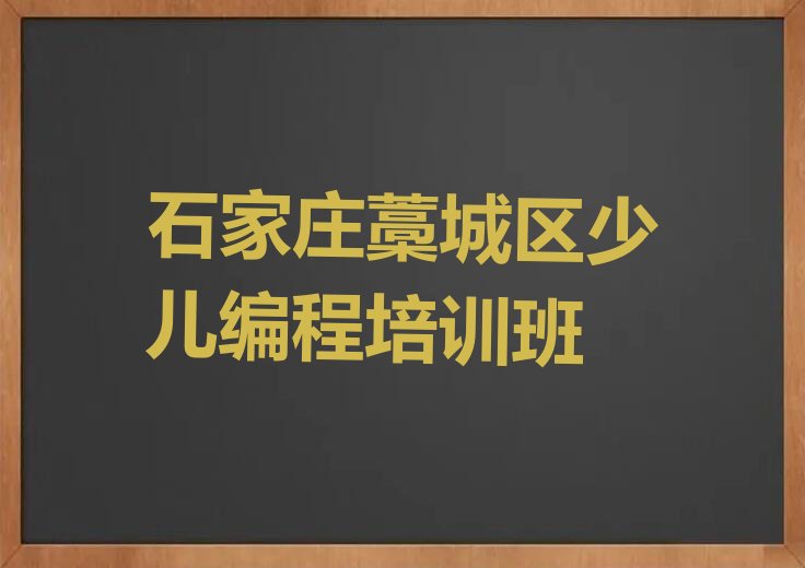 石家庄藁城区少儿编程培训班