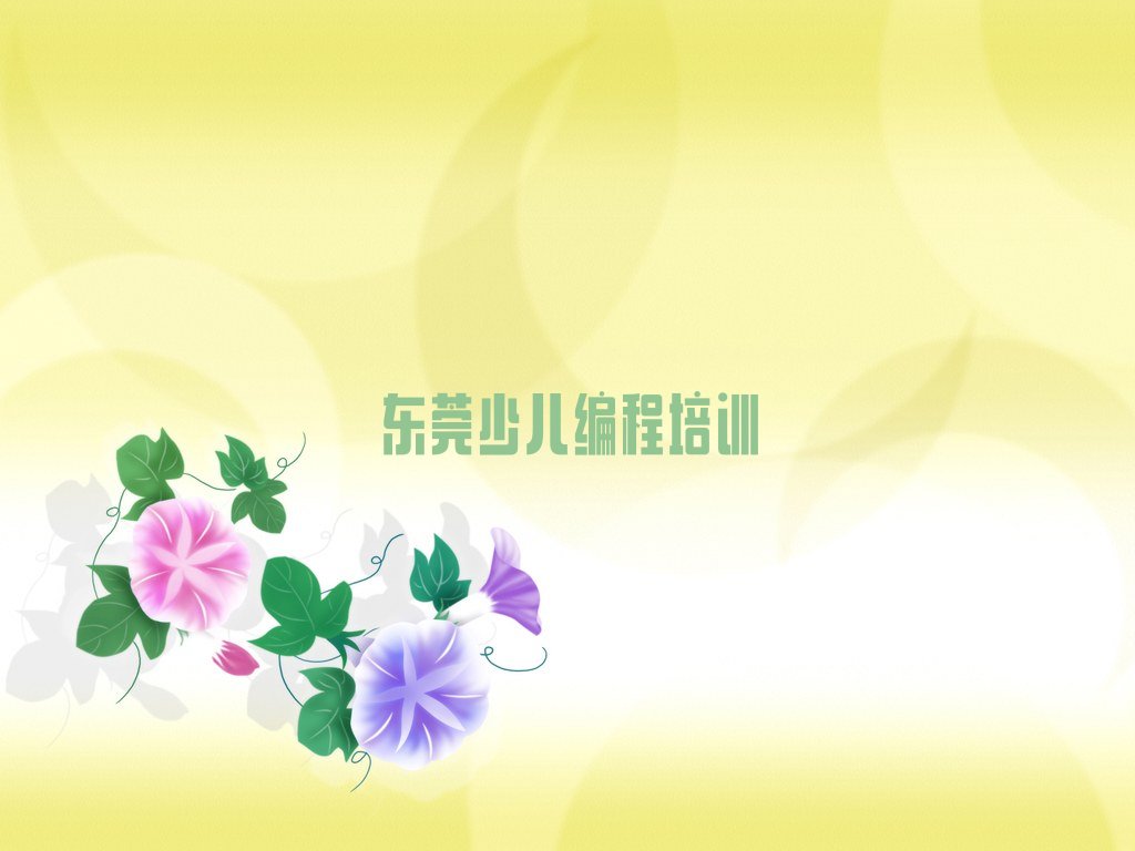 东莞少儿编程培训