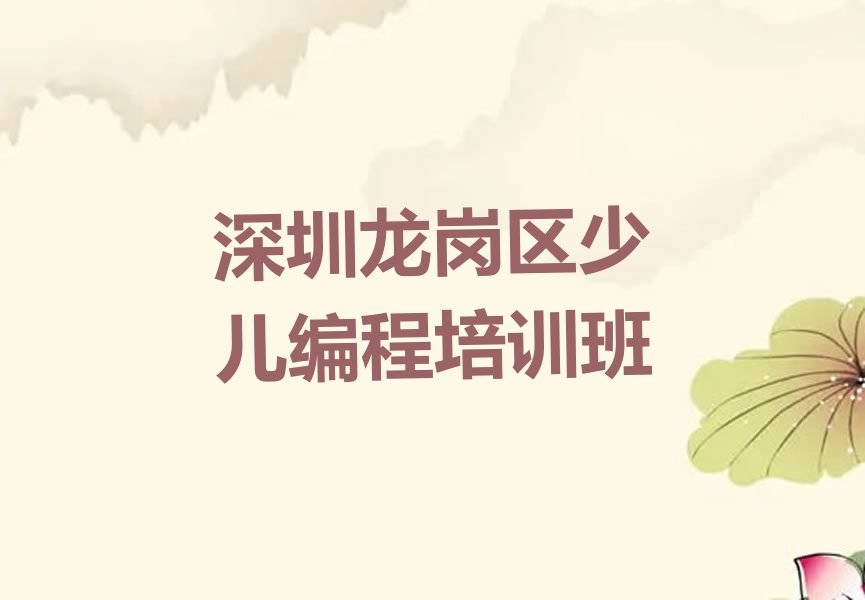 深圳龙岗区少儿编程培训班