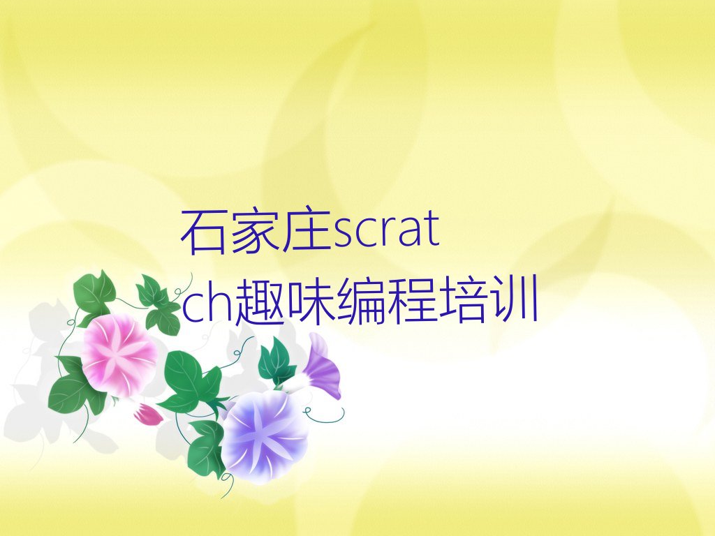 十大石家庄那里学scratch趣味编程好排行榜