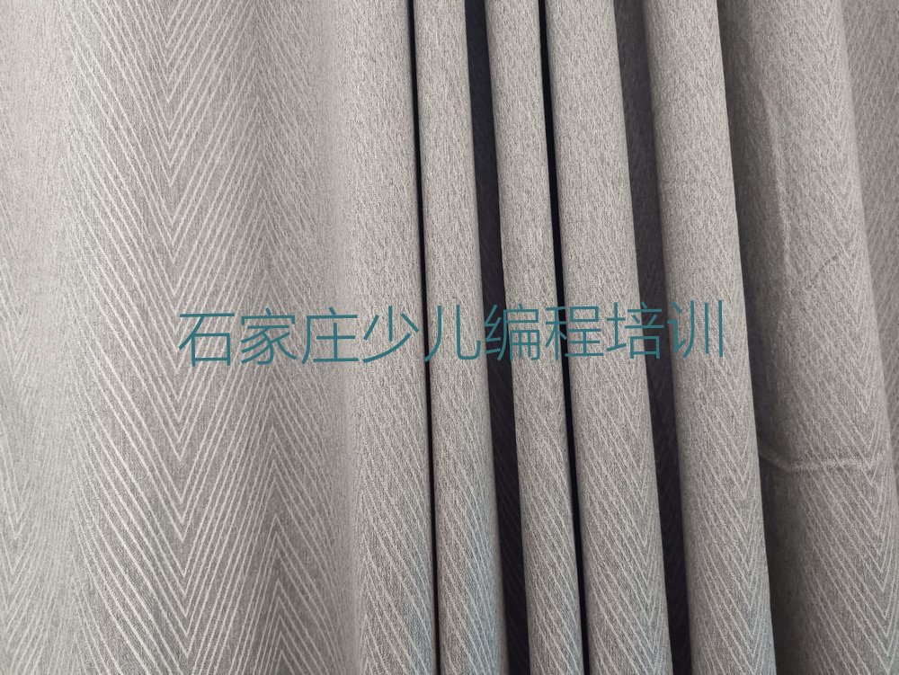 石家庄桥西区少儿编程培训