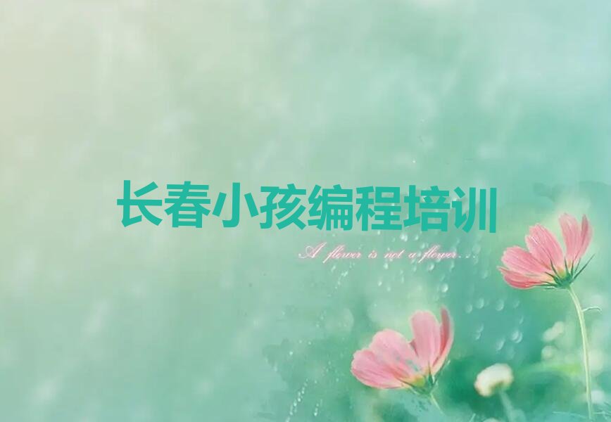 小孩编程