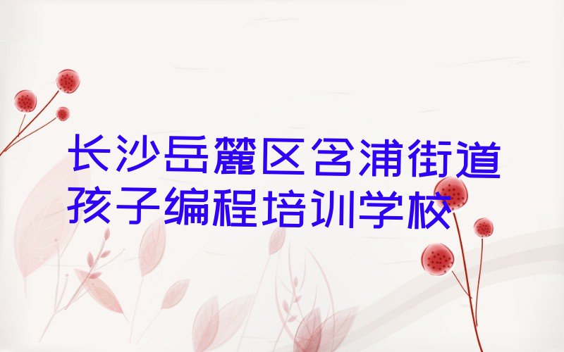 长沙岳麓区含浦街道孩子编程培训学校