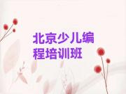 北京丰台区学小学生编程难吗要多长时间推荐十大排名一览表