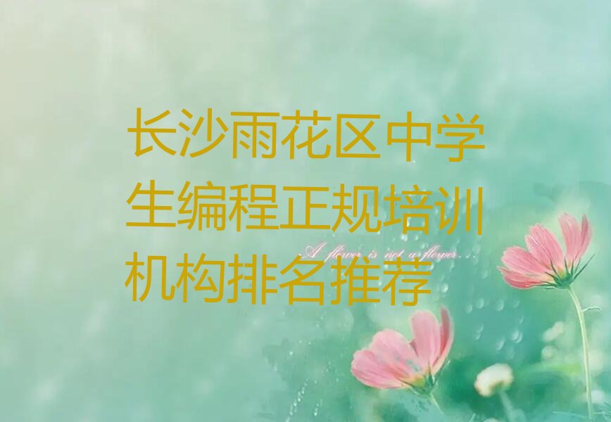 长沙雨花区黎托街道中学生编程培训学校