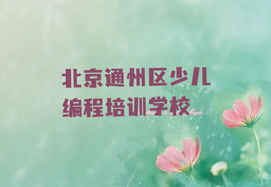 北京通州区少儿编程培训学校