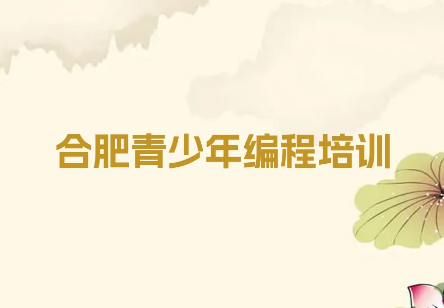 合肥蜀山区琥珀街道青少年编程培训学校