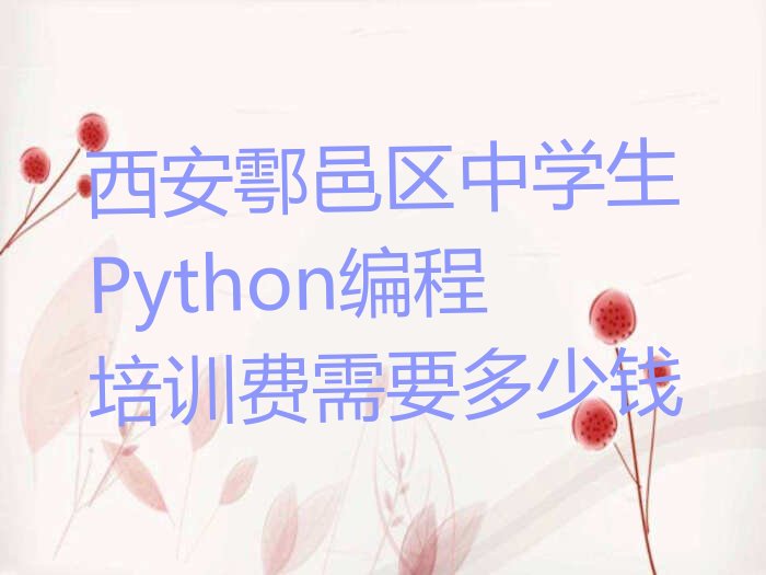 十大西安鄠邑区中学生Python编程培训费需要多少钱排行榜