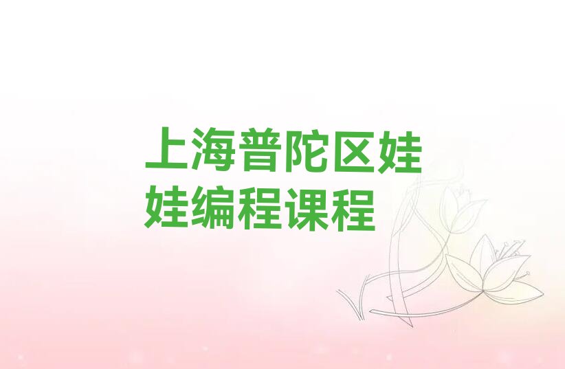 十大上海普陀区娃娃编程课程排行榜