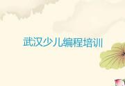 武汉汉阳区学少儿编程要多少时间
