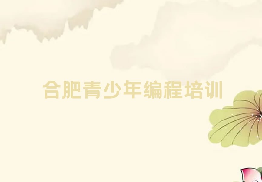 合肥蜀山区琥珀街道青少年编程培训学校