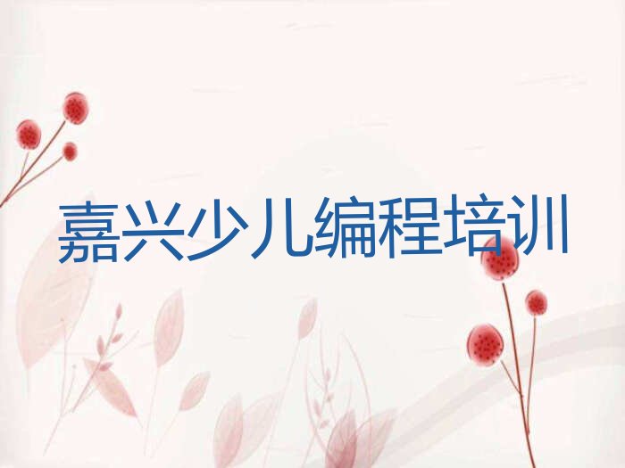 嘉兴秀洲区嘉北街道少儿编程培训学校