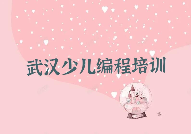 武汉东西湖区径河街道少儿编程培训学校