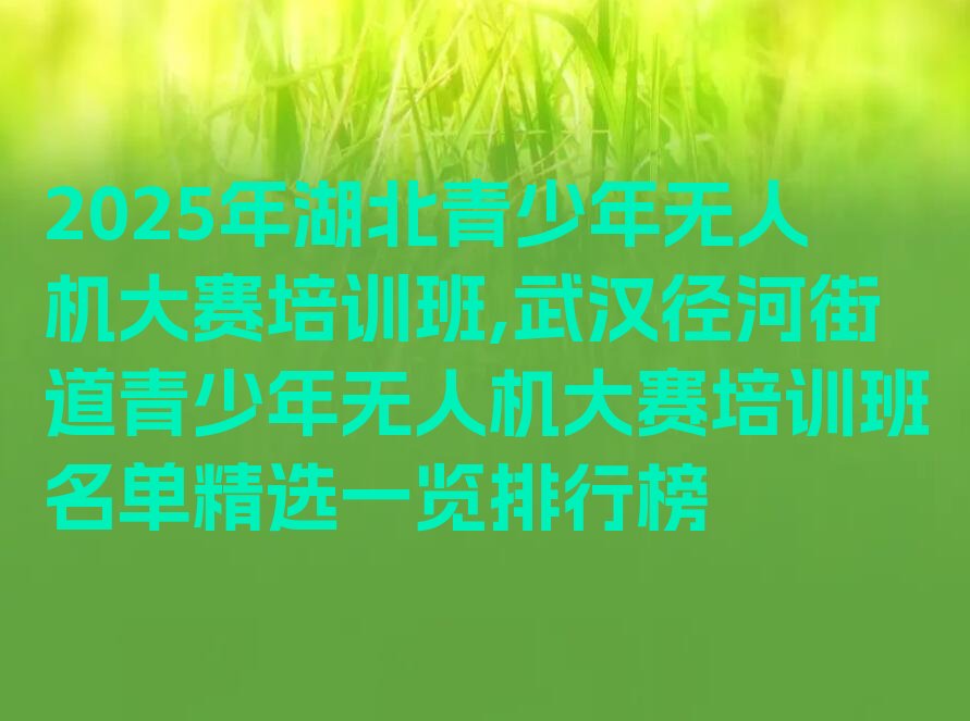 武汉东西湖区径河街道少儿编程培训学校