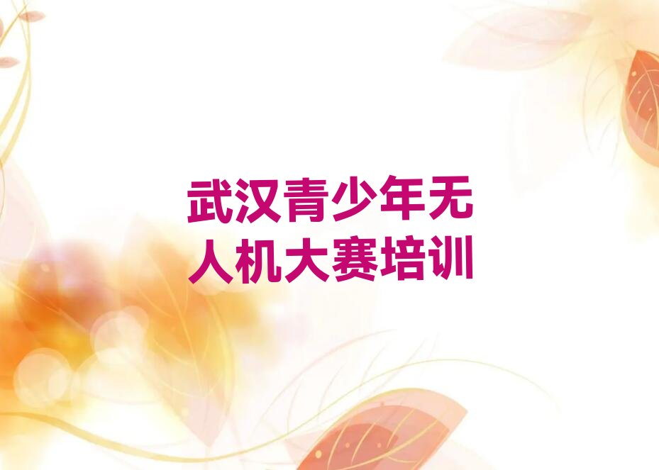 武汉东西湖区径河街道少儿编程培训学校