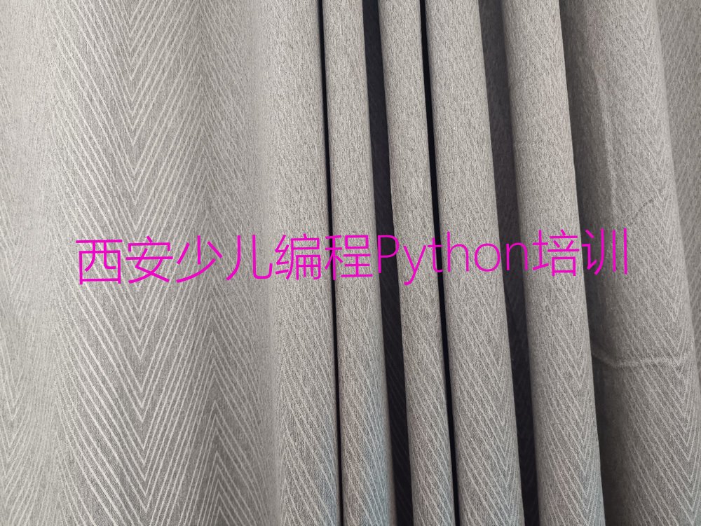 西安莲湖区环城西路少儿编程Python培训学校