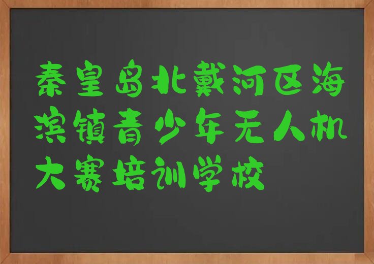 秦皇岛北戴河区海滨镇青少年无人机大赛培训学校